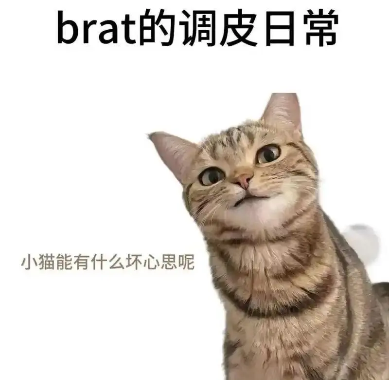 【西檬之家】Ddlg是什么？字母圈中的DDLG关系解析