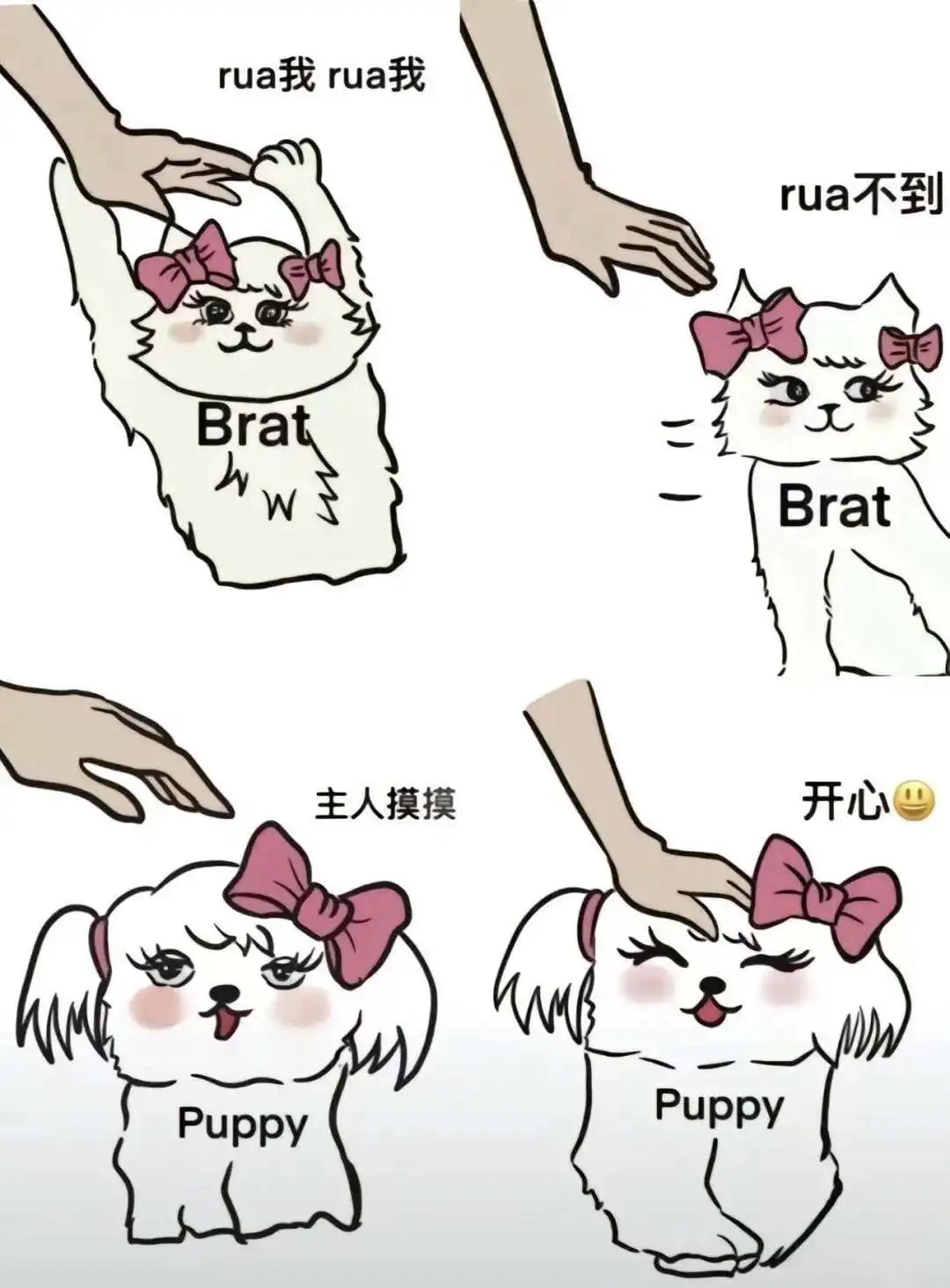【西檬之家】DT在字母圈是什么意思？新人入圈第一步：读懂Dirty Talk