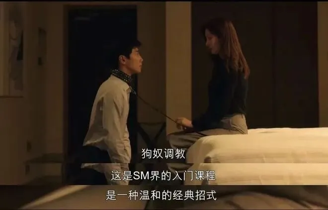 西檬之家-新人入圈指南：字母圈S属性全面解析