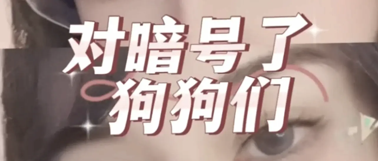 【西檬之家】新手入圈必读：PE权力交换的深层解析