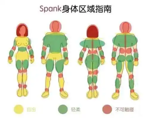 【西檬之家】字母圈新人如何入圈？核心术语与SSC原则解析