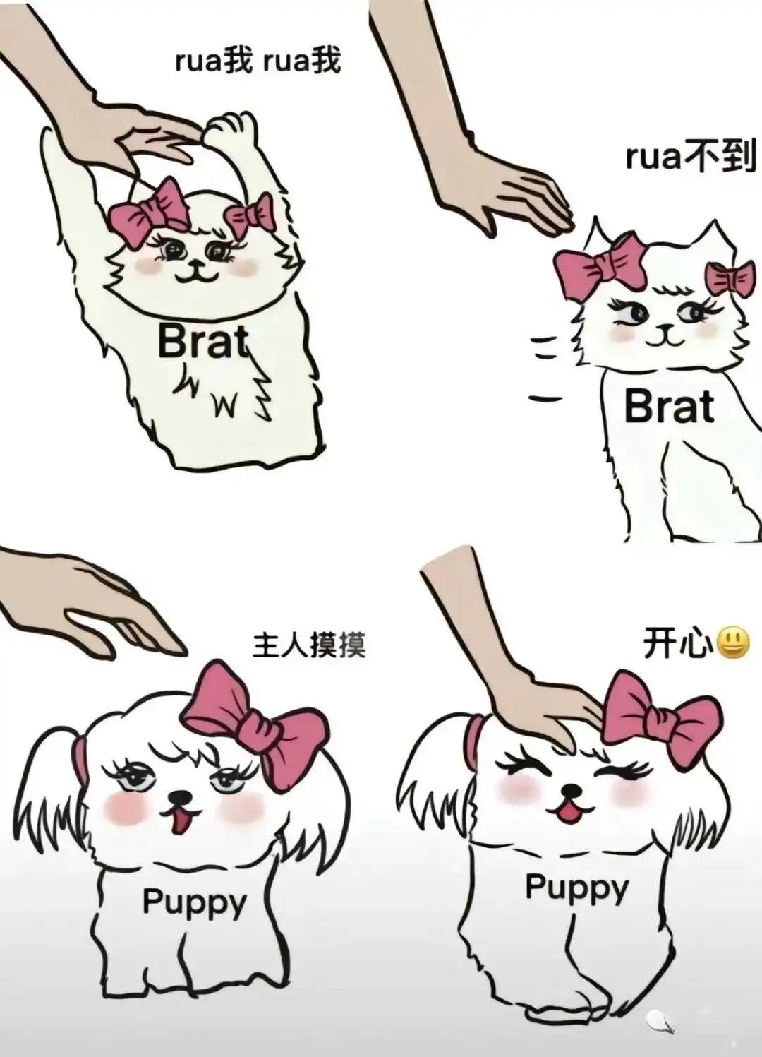 k9犬系：实用指南