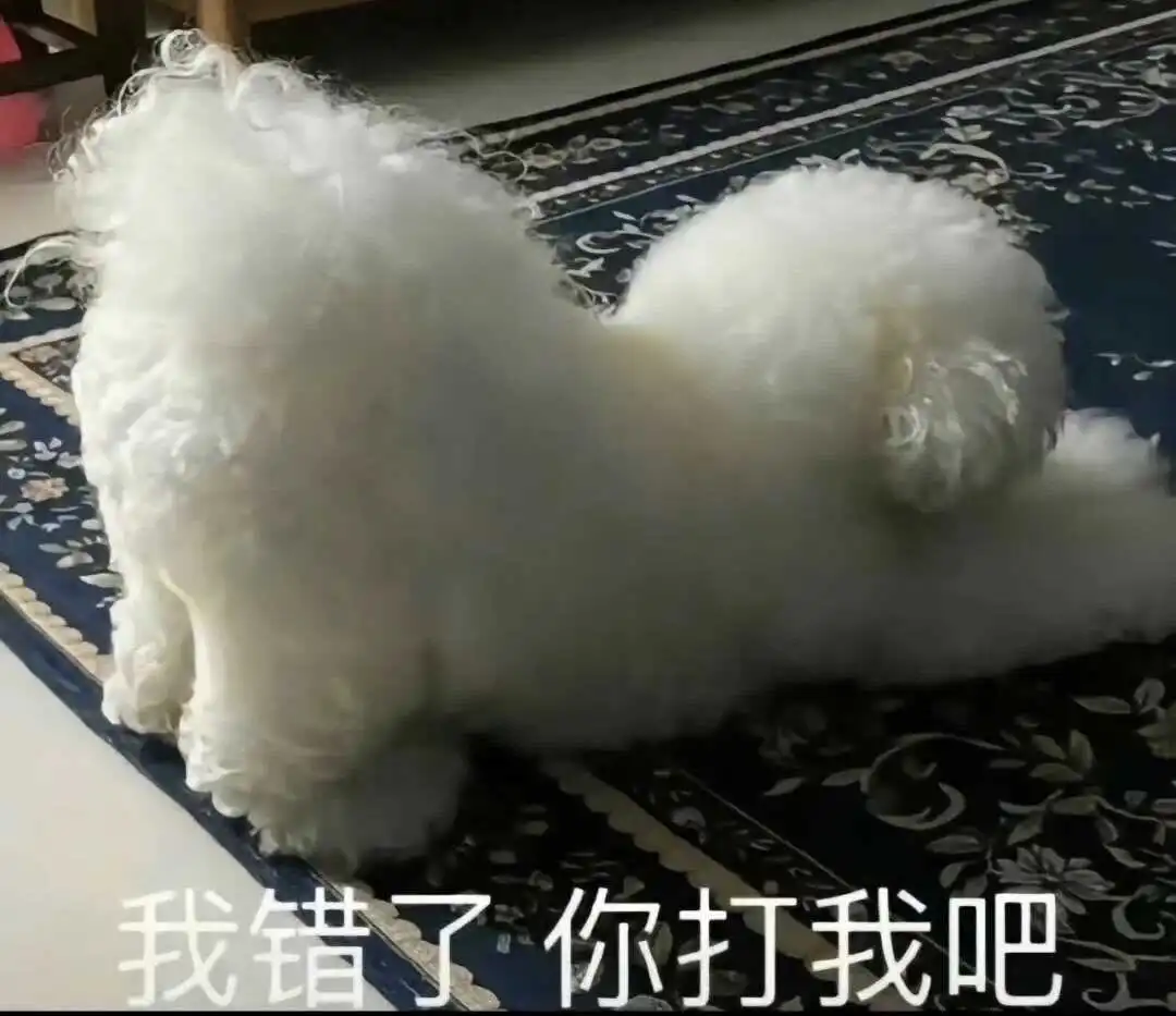 西檬之家-字母圈新人入圈：理解BDSM核心原则与安全指南
