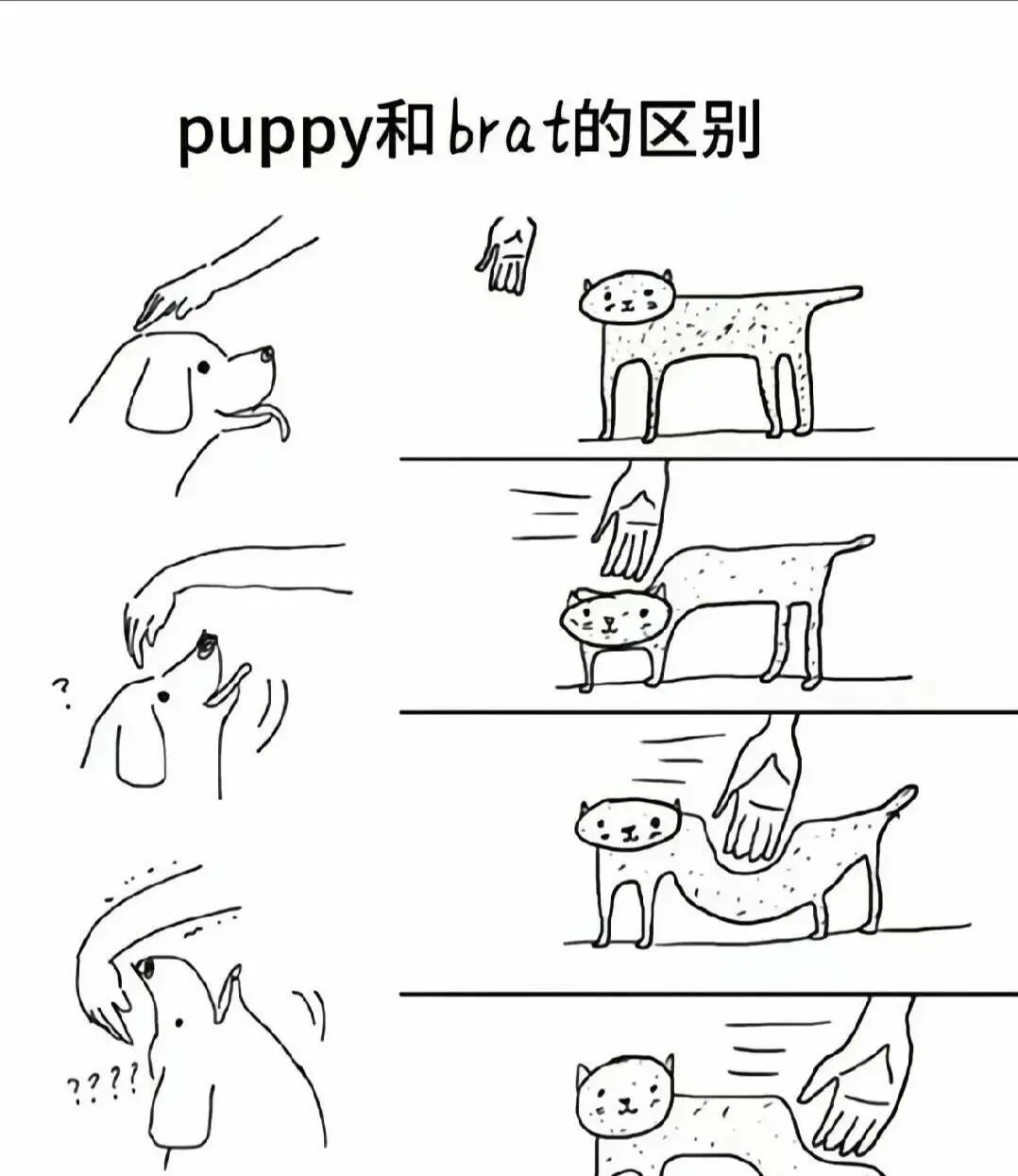 【西檬之家】BDSM术语科普：新人入圈的SSC原则与核心概念