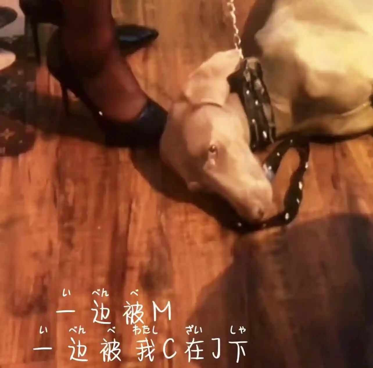 【西檬之家】字母圈Sp实践指南新人友好