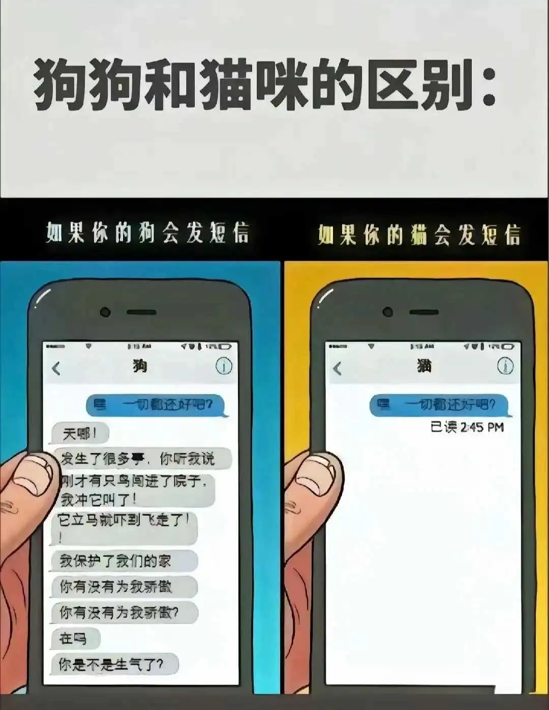 【西檬之家】Sub是什么？字母圈新人入圈指南